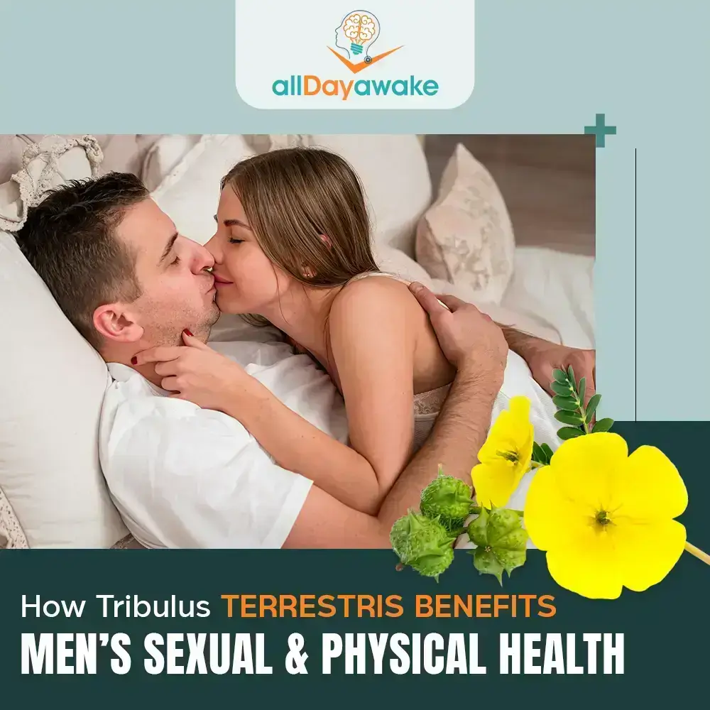How Tribulus Terrestris Benefits Men’s Sexual and Physical Health 