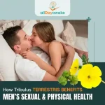 How Tribulus Terrestris Benefits Men’s Sexual and Physical Health
