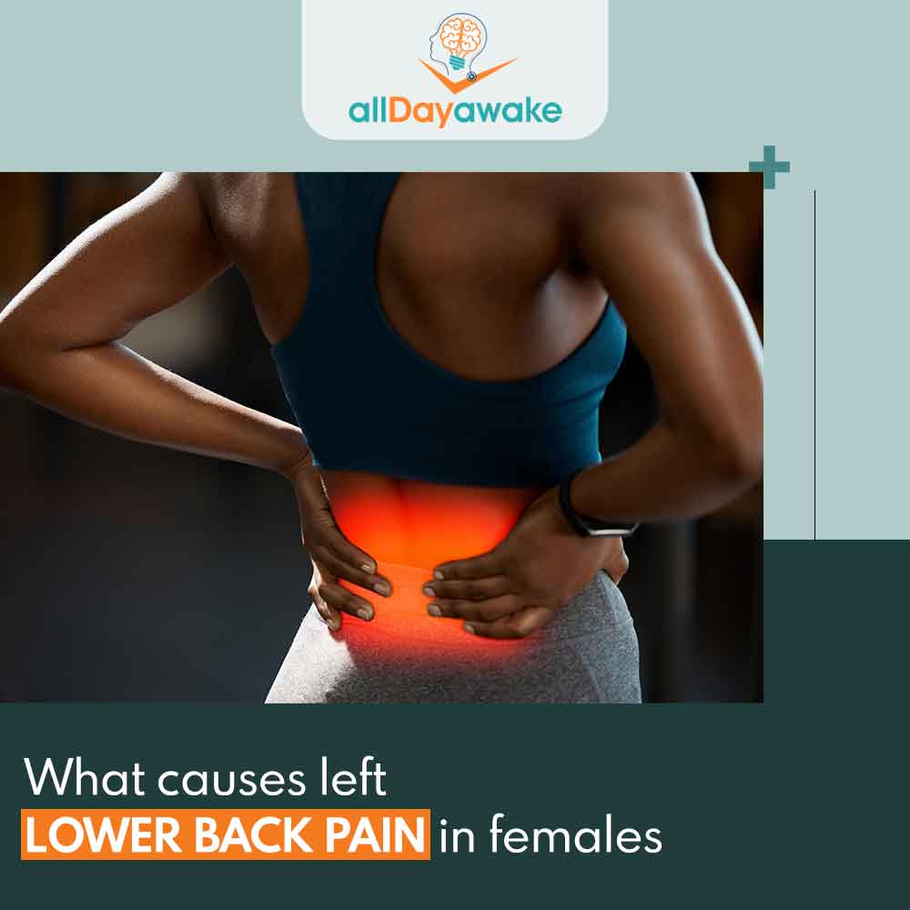 What Causes Left Lower Back Pain in Females