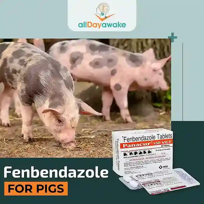 Fenbendazole for Pigs