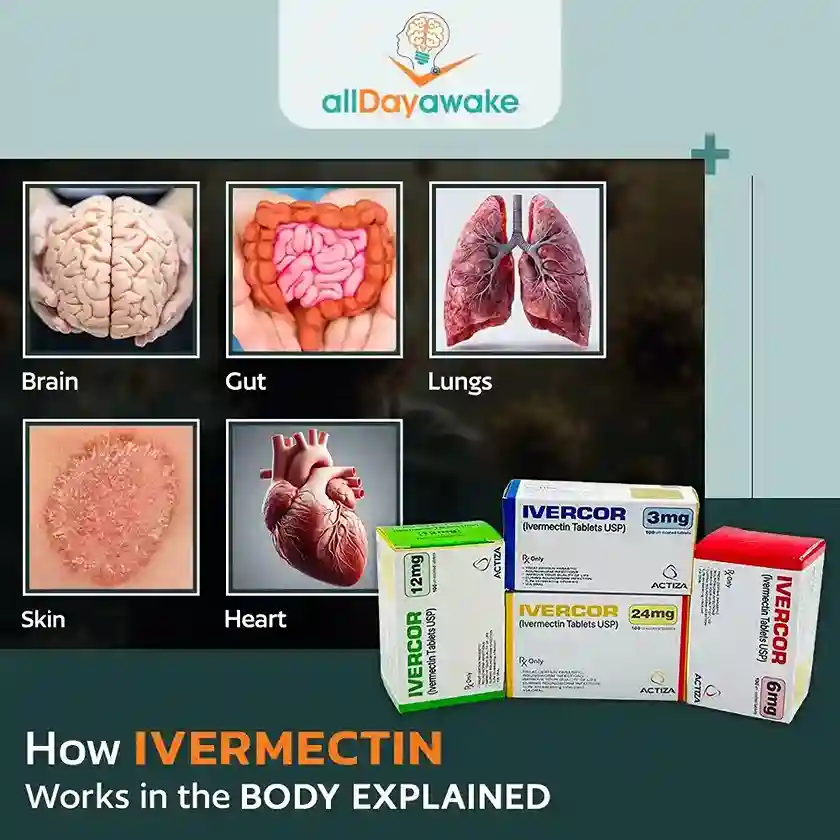 How Ivermectin Works in the Body Explained