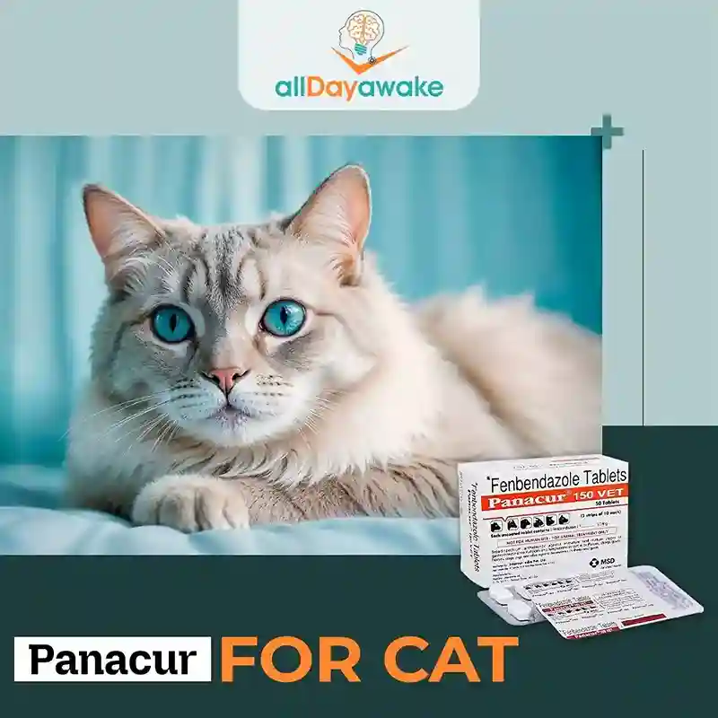 Panacur for Cats