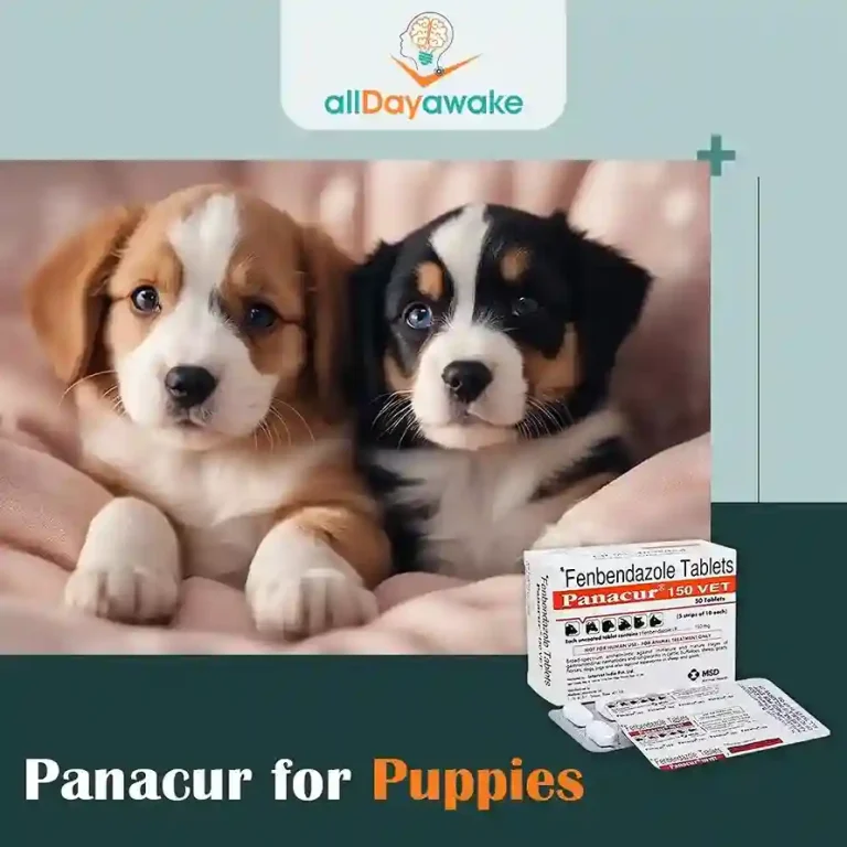 Panacur for Puppies