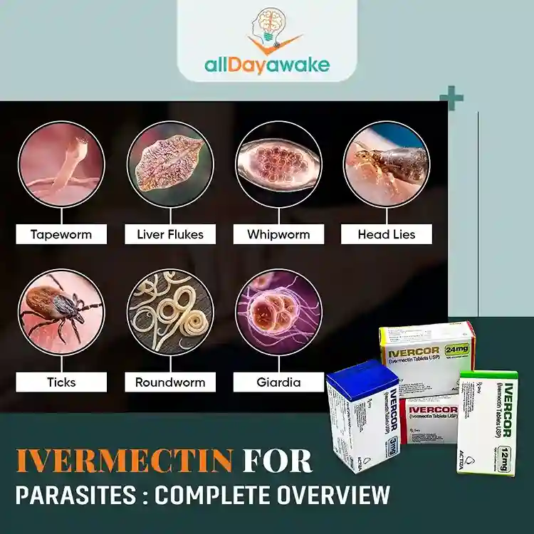 Ivermectin for Parasites: Complete Overview
