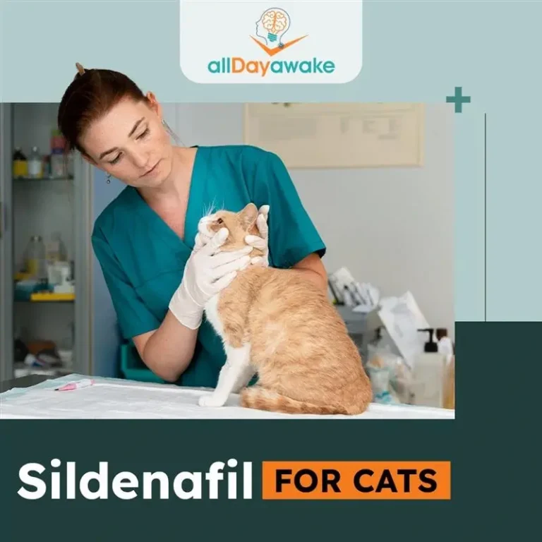 Sildenafil for Cats